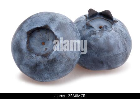 blueberry path isolated on white Stock Photo