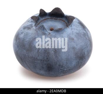 blueberry path isolated on white Stock Photo