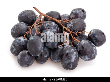 blue grape path isolated on white Stock Photo