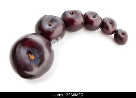 deep red burgundy plum path isolated on white Stock Photo