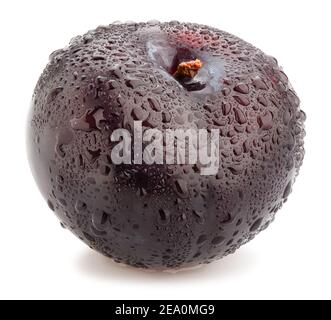 deep red burgundy plum path isolated on white Stock Photo