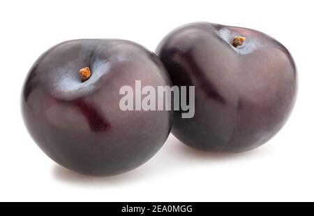 deep red burgundy plum path isolated on white Stock Photo