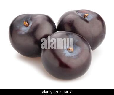 deep red burgundy plum path isolated on white Stock Photo