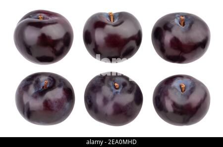 deep red burgundy plum path isolated on white Stock Photo