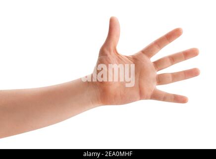 palm hand path isolated on white Stock Photo