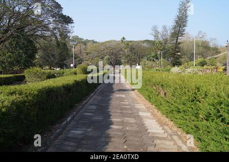 Pathway in the garden of vazhani dam reservoir, Kerala, India Stock Photo