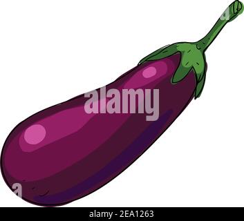 Fresh Eggplant vegetable isolated illustration Icon stock illustration Stock Vector