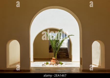 The arch in the wall with a palm tree in the center Stock Photo