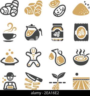 ginger icon set Stock Vector