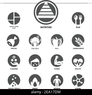 Food guide pyramid. Vector illustration Stock Vector Image & Art - Alamy