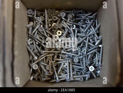 Self-tapping screws in a cardboard box. Screw for working with wood products and surfaces. Hardware, fasteners and materials for construction and repa Stock Photo