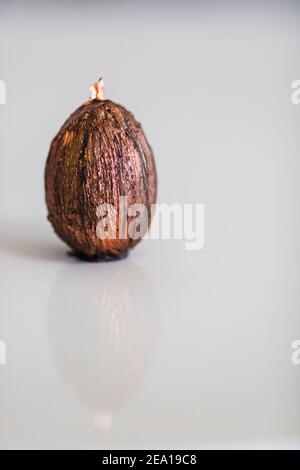 Handmade chocolate with gold easter egg. Close-up, copy space Stock Photo