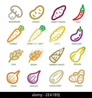 vegetable thin line icon set,vector illustration Stock Vector