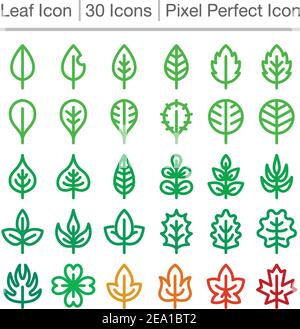 leaf line icon,editable stroke,pixel perfect icon Stock Vector