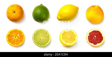 set grapefruit, lime, lemon and tangerine on white background Stock Photo