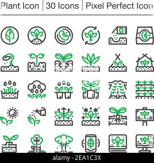 plant line icon,editable stroke,pixel perfect icon Stock Vector