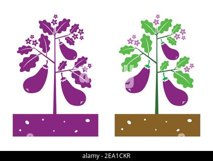 eggplant plant with product and flower Stock Vector
