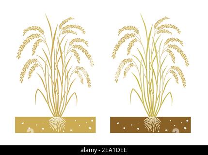 Rice plant cartoon illustration Stock Vector Image & Art - Alamy