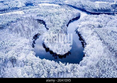 Aerial view of winding river and snowy forest in winter, Poland, Europe Stock Photo