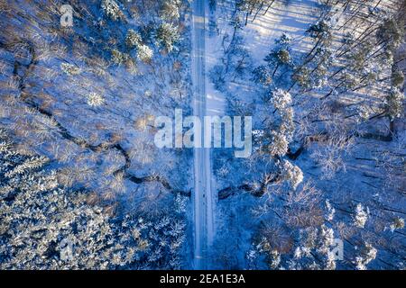 Top down view of snowy forest and river at winter, aerial view Stock Photo