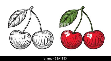 Pair of cherries. Hand drawn fruit isolated vector illustration Stock Vector