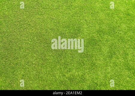 Artificial grass laid in a garden. No people. Copy space. Stock Photo