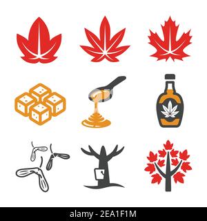 maple and maple syrup icon Stock Vector