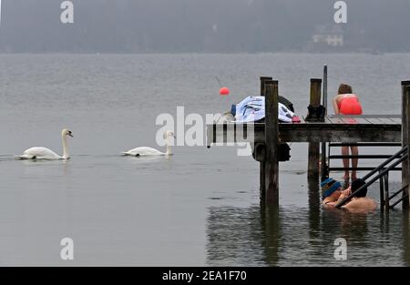 Berg Am Starnberger See, Germany. 07th Feb, 2021. Two swans swim past a jetty, while a couple sits in the water at the jetty and two women get into Lake Starnberg for a swim. The water temperature is about 5 degrees Celsius. Credit: Peter Kneffel/dpa/Alamy Live News Stock Photo