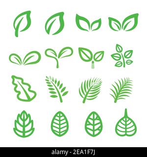 leaf line icon Stock Vector