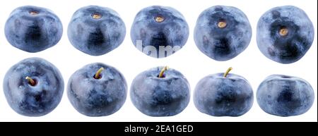 Set of blueberry berry isolated on white background. Blueberry collection with clipping path. Full depth of field. Stock Photo