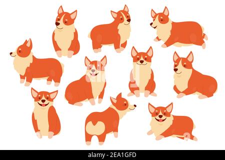 Happy corgi dog pet vector illustration set. Cartoon cute puppy characters in different poses collection, kawaii corgi doggy sitting, friendly dog standing with smiling muzzle isolated on white Stock Vector