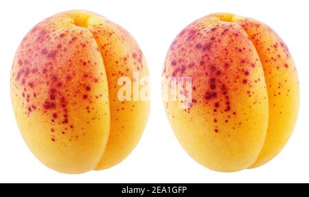 Pair of apricot fruit isolated on white background with clipping path. Full depth of field. Stock Photo