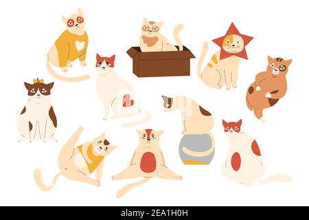 Cat pet cute characters vector illustration set. Cartoon adorable animal in different poses collection, fluffy lazy cat sitting, hiding in box, wearing festive hat, lying at home isolated on white Stock Vector