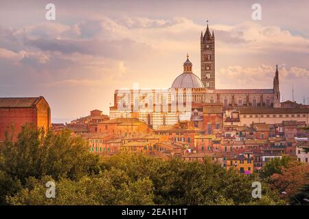 Siena Cathedral, Duomo di Siena and town panoramic sunset view in Tuscany, Italy Stock Photo