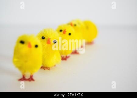 Fluffy Easter chickens Stock Photo