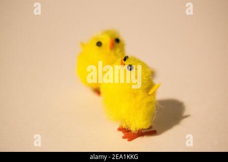 Fluffy Easter chickens Stock Photo