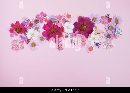 Wild pink flowers framework on pink background. Flat lay. Stock Photo