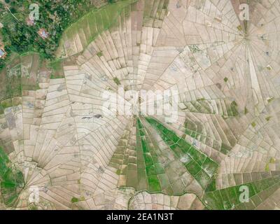 Ruteng Rice fields in Flores Islands Indonesia Stock Photo