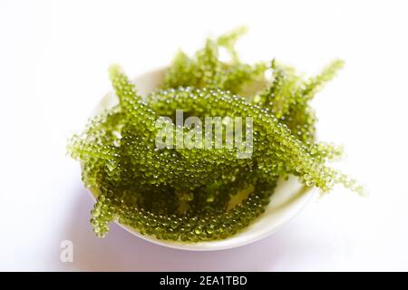 A macro shot of fresh sea grapes in a bowl, placed on a white surface Stock Photo