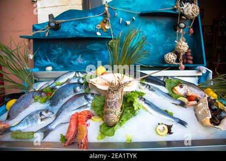 Still life of fresh fish in Rethymno in Crete (Greece). Seafood on ice: octobus, snails, crabs, shrimp, fish etc Stock Photo