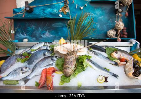 Still life of fresh fish in Rethymno in Crete (Greece). Seafood on ice: octobus, snails, crabs, shrimp, fish etc Stock Photo