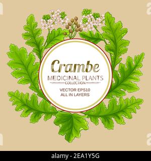 crambe plant vector frame Stock Vector
