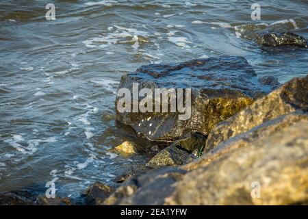 Scenic view of rocks with the Bay of Bengal in the background along Kovalam Beach, Chennai, India Stock Photo