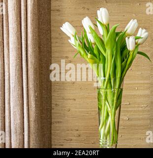 Tall cylinder vase with fresh cut tulips Stock Photo