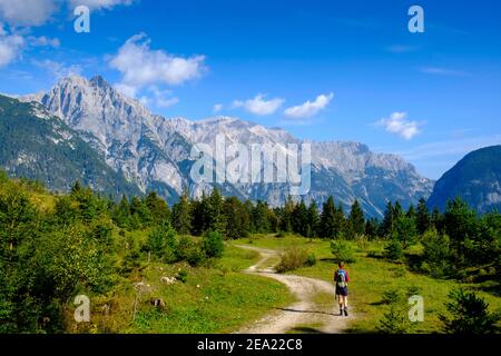 Hiker at the Katzenkopf, way to the Rappenloecher, with view to the Wetterstein mountains, Leutasch valley, Leutasch, Tyrol, Austria Stock Photo