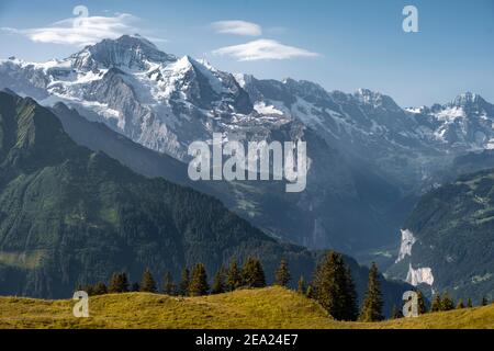 Snow covered mountain peaks behind Lauterbrunnen valley, Jungfraujoch and Jungfrau, glacier Jungfraufirn, Jungfrau region, Grindelwald, canton Bern Stock Photo