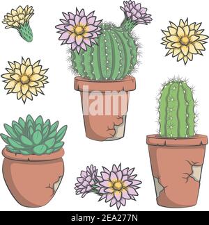 Set of vector colored cactus with flowers in old pots. Stock Vector