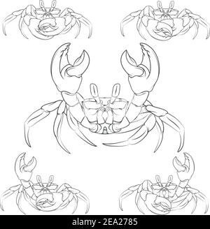 Set of vector crabs illustrations. Isolated objects. Stock Vector