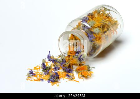 Tea mixture from dried Marigolds ( Calendula officinalis) and mallow blossoms ( Malva sylvestris) Stock Photo