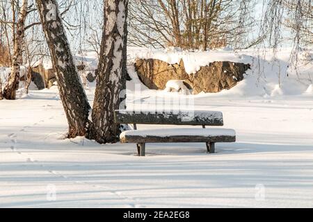 A bench in park covered in snow photo: Bo Arrhed Stock Photo